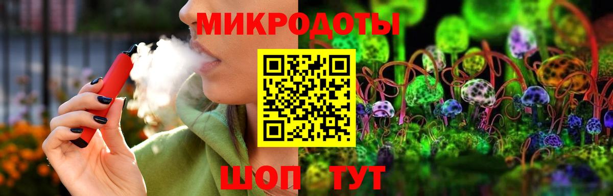 Псилоцибиновые грибы Psilocybe  Вход с VPN  Вязники 